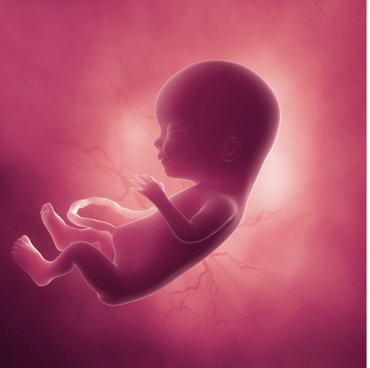 Baby.jpg