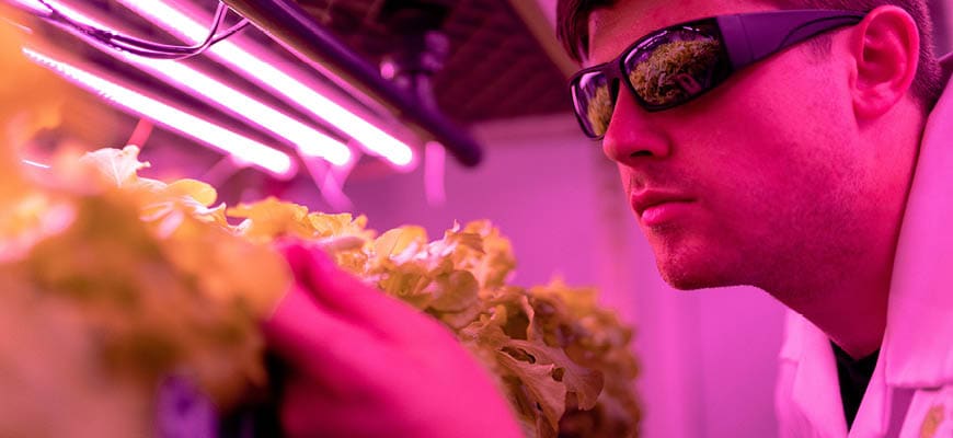 Rectangle